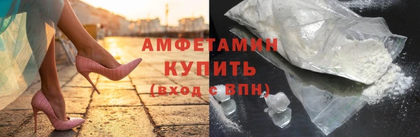 мдпв Ельня