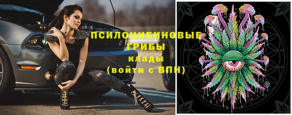 дживик Сосновка