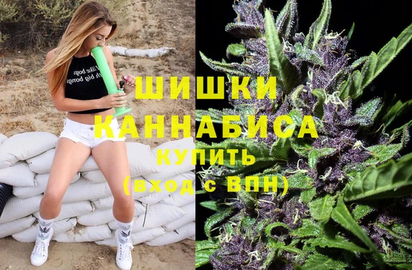 дживик Сосновка