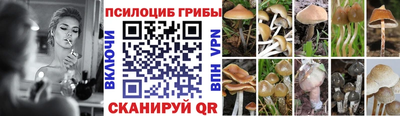 Псилоцибиновые грибы Magic Shrooms сколько стоит Гурьевск