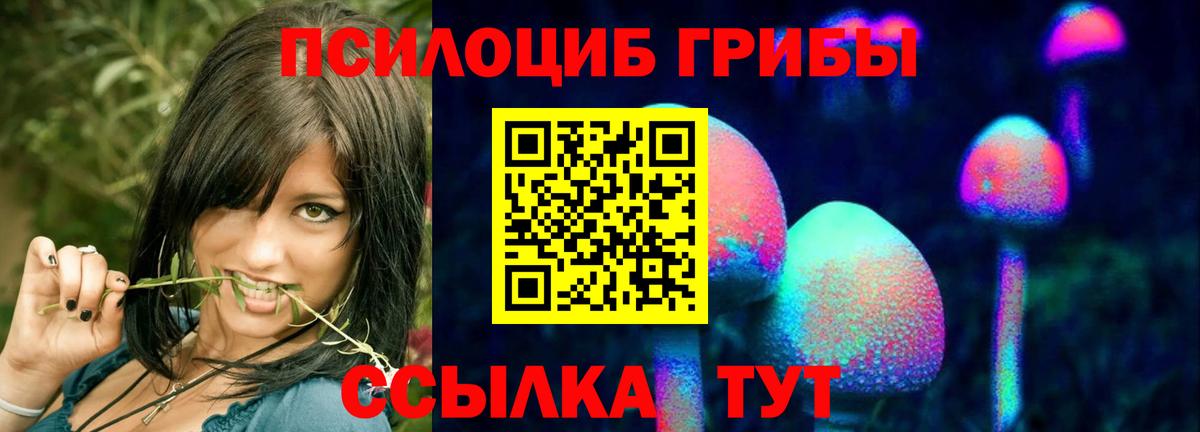 Гурьевск  Псилоцибиновые грибы ЛСД  Псилоцибиновые грибы мицелий  Вход с VPN 